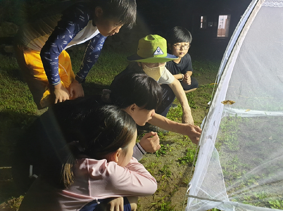 국립자연휴양림관리소가 여름방학을 맞아 진행하고 있는 산음-밤곤충관찰 프로그램. [사진=국립자연휴양림관리소/산림청]