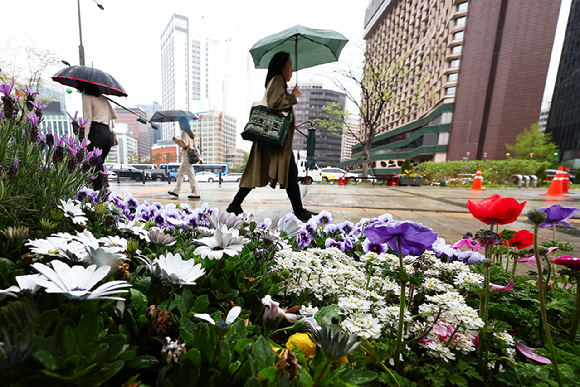 지난 15일 서울 중구 세종대로에서 시민들이 우산을 쓰고 출근하고 있다. [사진=뉴시스]