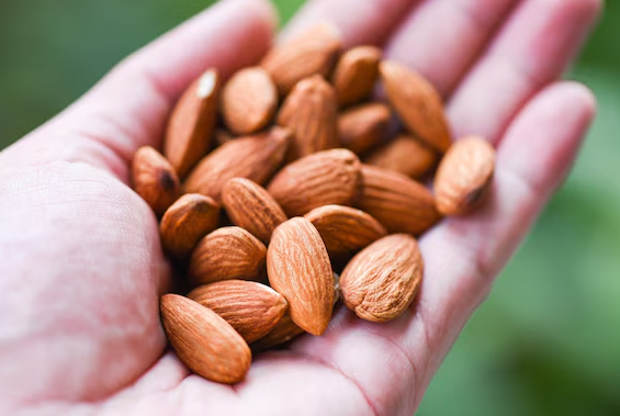 면역력을 증진시키는 데에 도움이 되는 식품들이 전문의를 통해 소개됐다. 사진은 본 기사 내용과 무관. [사진=lamuscle]