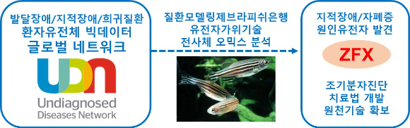 원인불명, 치료부재의 발달장애, 지적장애, 자폐증을 포함하는 희귀질환 연구는 글로벌 네트워크를 통한 환자유전체 빅데이터의 공동 활용이 반드시 필요하다. 이번 연구에는 9개국 45개 기관이 참여했다. [사진=한국연구재단]