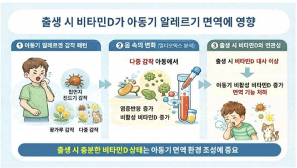 출생 시 비타민D가 아동기 알레르기 면역 환경에 미치는 영향의 모식도. [사진=질병관리청]