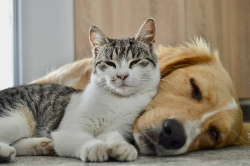  [사진=픽사베이]