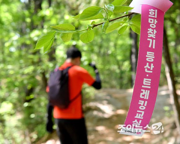 25일 서울 강북구 우이동 만남의 광장에서 열린 산악인 오은선 대장과 함께하는 '제13회 희망찾기 등산&middot;트레킹 교실' 참가자들이 북한산 진달래 능선을 걷고 있다. [사진=곽영래 기자]