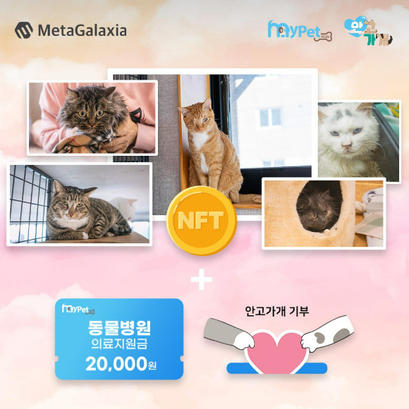 갤럭시아넥스트가 운영하는 대체불가능토큰(NFT) 플랫폼 '메타갤럭시아(MetaGalaxia)'가 배송지 입력 기능이 적용된 유틸리티 NFT를 오픈했다.  [사진=갤럭시아넥스트]