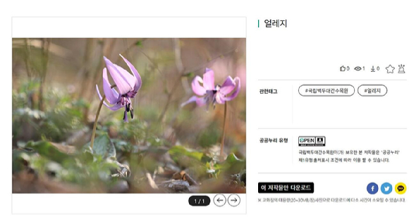 국립백두대간수목원이 공공누리 사이트에업로드한 식물사진 [사진=한국수목원정원관리원]