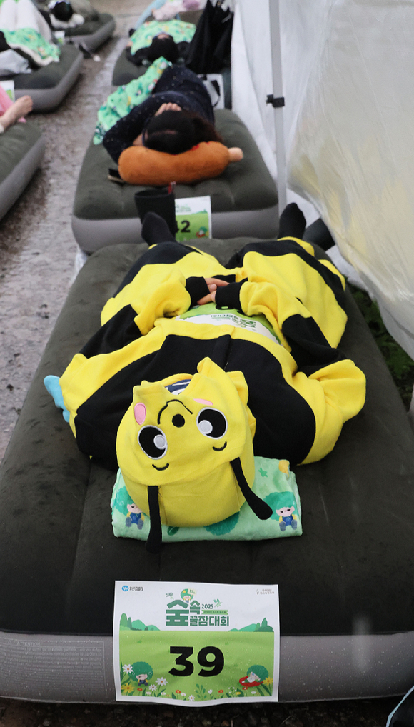 유한킴벌리 '2025 우리강산 푸르게 푸르게 '숲속 꿀잠대회''가 28일 남양주시 광릉숲에서 열렸다. 사진은 숲속에서 숙면을 취하는 참가자들의 모습. [사진=유한킴벌리]