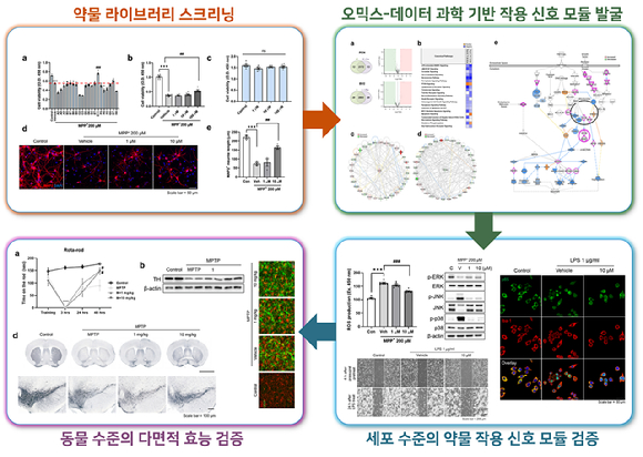신개념 파킨슨병 치료제 후보 물질 신약 재창출로 발굴 外 [과학게시판]