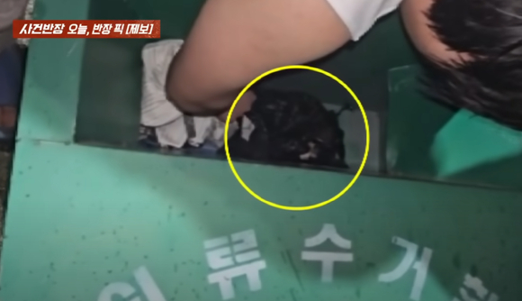 누군가 의류 수거함에 강아지 3마리를 버리고 떠났다는 사연이 알려졌다. 사진은 의류 수거함에서 강아지가 들어있는 봉투를 꺼내는 모습. [사진=JTBC]