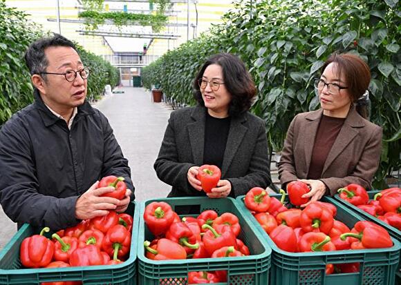 조은희 충북농업기술원장이 20일 진천군에 위치한 스마트팜 농가를 방문, 농업인의 목소리를 청취하고 의견을 나누는 등 소통의 시간을 가졌다. [사진=충북도]