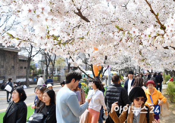 3일 오전 서울 여의도 윤중로 벚꽃길에서 시민들이 꽃놀이를 즐기고 있다. 윤중로 벚꽃길은 8일까지 여의도 봄꽃축제를 위해 교통이 전면통제된다. [사진=곽영래 기자]