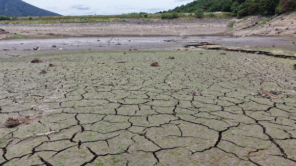 가뭄에 경남 밀양시 무안면 웅동저수지 바닥이 쩍 갈라져 있다. 2026.8.10 [사진=연합뉴스]