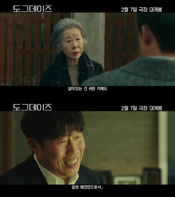 '도그데이즈'가 2월 7일 개봉된다. [사진=CJ ENM]