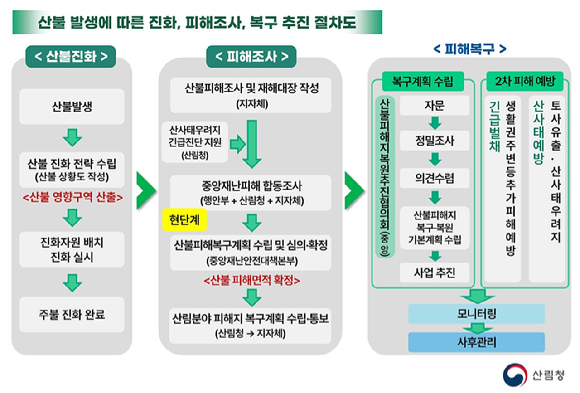 산불피해 발생에 따른 진화, 피해조사, 복구 추진 절차도 [사진=산림청]