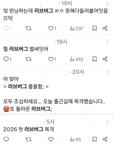 한 가정집 화분에 붙어있는 러브버그 [사진=연합뉴스]