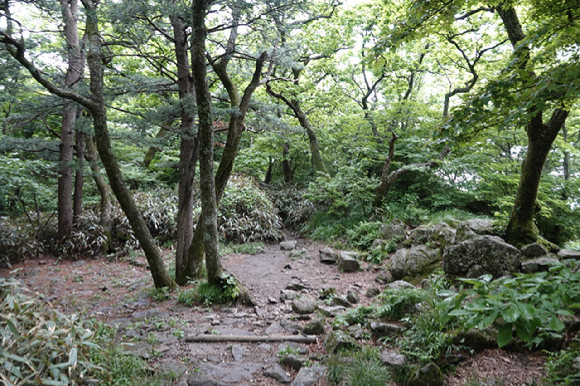 지리산 [사진=박성기 작가]