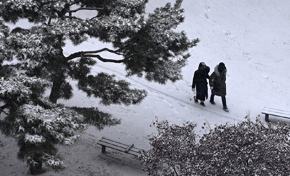 서울지역에 대설특보가 내려진 지난달 15일 오후 서울 영등포구 여의도 공원에서 시민들이 눈을 맞으며 이동하고 있다. [사진=김성진 기자]