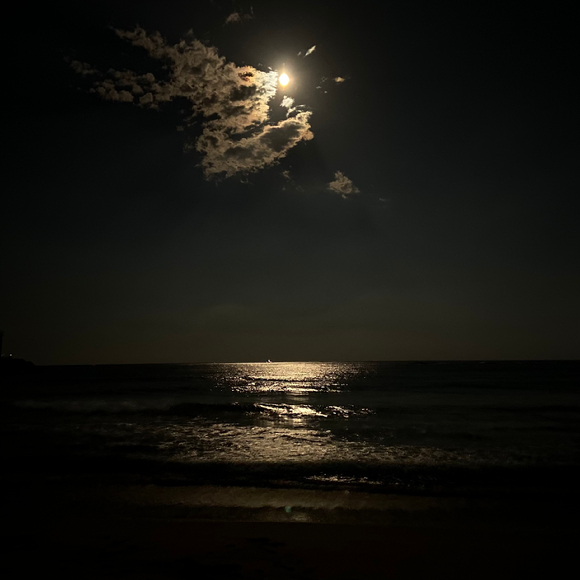 강원도 고성 백도해수욕장에서 구름 사이로 밝은 추석 보름달이 지나가고 있다. [사진=독자제공]