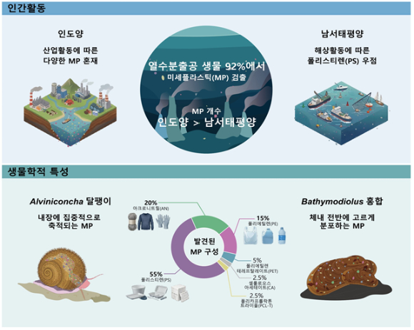 플라스틱이 해양을 오염시키고 있다. [사진=WWF]