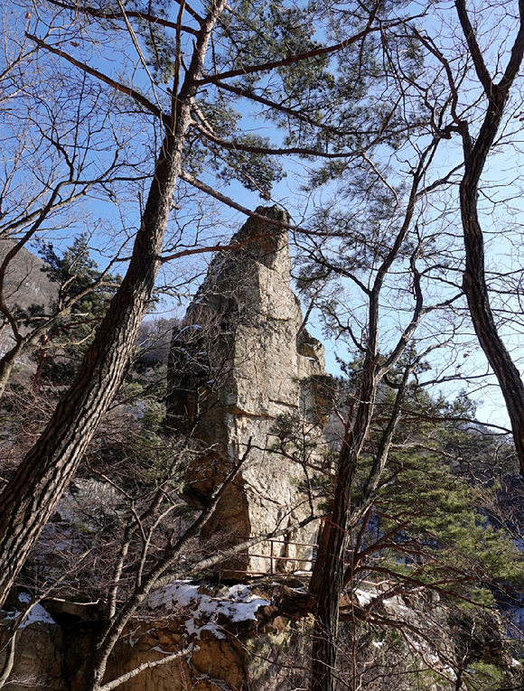 가지끝에 남아있는 설화(상고대) [사진=박성기 ]