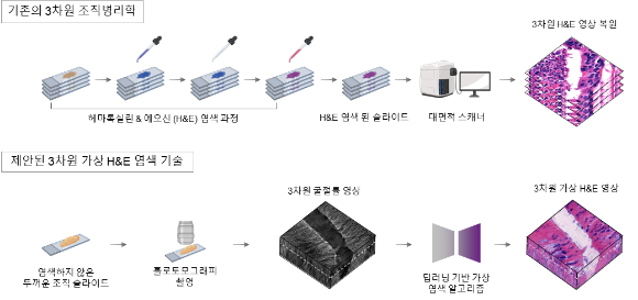 기존 방식은 수십 장의 조직 슬라이드 제작과 염색이 필요하다. 이번에 연구팀이 제안된 기술은 최대 10배까지 슬라이드 수를 줄이고 빠르게 H&E 영상을 생성할 수 있다. [사진=KAIST]
