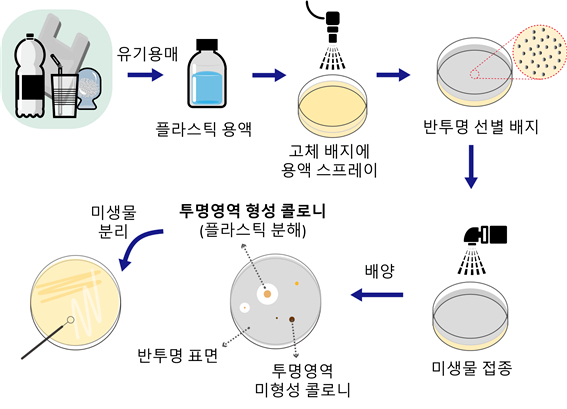 플라스틱 마이크로 스프레이 선별배지 제작과 미생물 분리 과정. [사진=화학연]