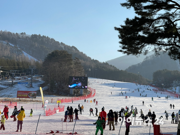 용평리조트에 사람들이 스키와 스노우보드를 즐기고 있다. [사진=용평리조트]