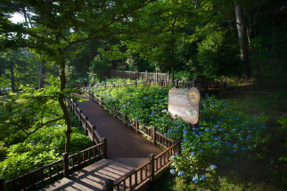 녹색인프라 확충사업(무장애나눔길) 충남 태안군 '안면도수목원' 내 조성지 [사진=한국산림복지진흥원]