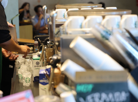 일회용 컵 [사진=연합뉴스]