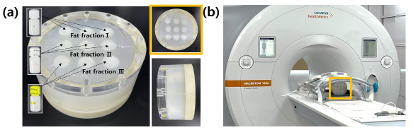 팬텀 형태로 MRI 기기에 적용한 유화 표준물질. (a) 의료영상용 팬텀으로 구성된 유화 표준물질 (b) 3T MRI 기기에서 영상을 획득하기 위해 유화 표준물질 팬텀을 적용한 모습 [사진=표준연]