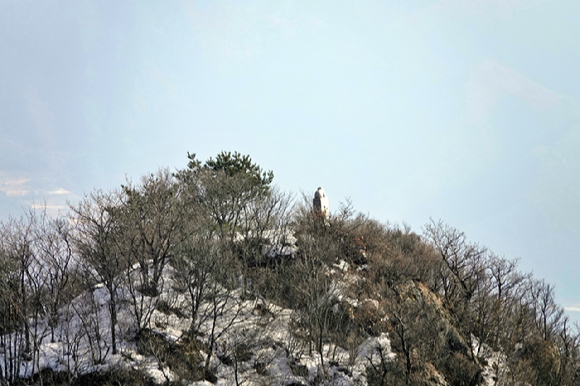 팔각정에서 바라본 겹겹한 산 [사진=박성기]