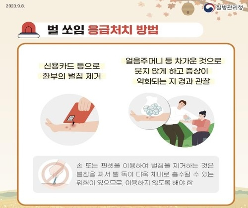  질병관리청이 추석을 맞아 늘어난 성묘객을 대상으로 벌 쏘임 사고에 주의해야한다고 28일 밝혔다. [사진=질병관리청]