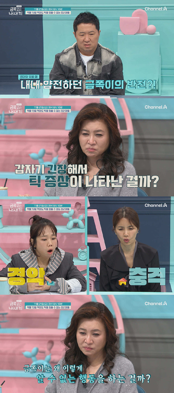 금쪽같은 내새끼 [사진=채널A ]