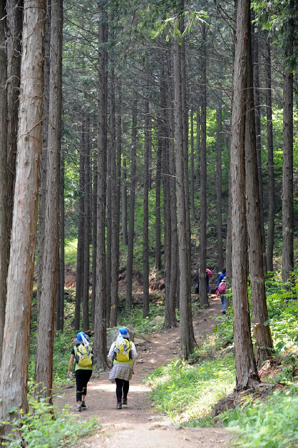 지리산 둘레길에 포함된 전남 구례군 밤재. [사진=산림청]