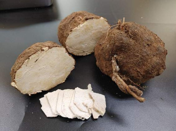 다이어트와 붓기 해소에 효과적인 차가 전문가에 의해 소개됐다. 사진은 본 기사 내용과 무관. [사진=Freepik]