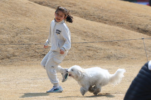 서울 한낮 기온이 12도까지 오르며 포근한 날씨를 보인 지난 9일 서울 종로구 송현광장에서 봄나들이를 나온 어린이와 강아지가 뛰놀고 있다. [사진=연합뉴스]