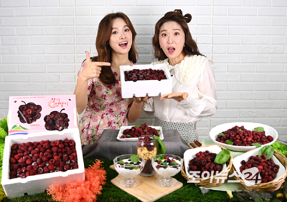 산림조합중앙회(회장 최창호)가 임업인 소득향상을 위하여 경북 포항 장기산딸기영농조합법인과 함께 25일 경기도 고양시의 한 스튜디오에서 '포항 장기 냉동 산딸기' 라이브커머스를 진행했다. 일일 쇼호스트로 나선 방송인 하지혜와 개그우먼 김경아가 포즈를 취하고 있다.