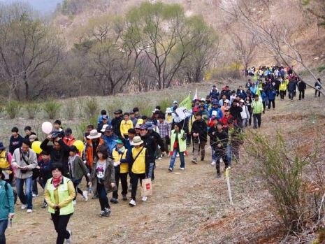 경북 고령 청룡산 임도 [사진=산림청]