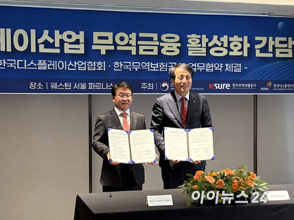 이승우 한국디스플레이산업협회 부회장 [사진=권서아 기자]