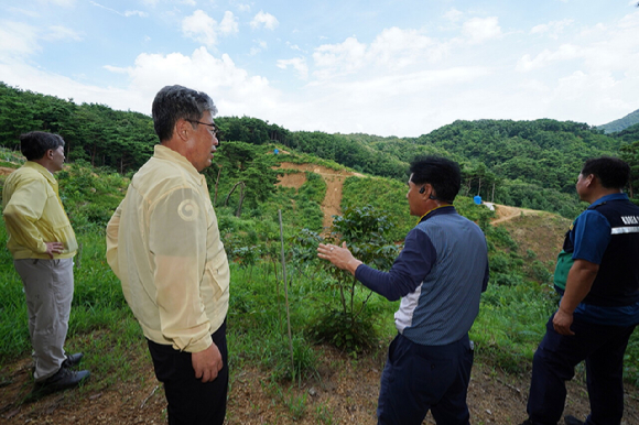임상섭 산림청장이 22일 집중호우로 산사태 피해를 입은 충청남도 예산군 피해지 상황을 점검하고 있다. [사진=산림청 ]