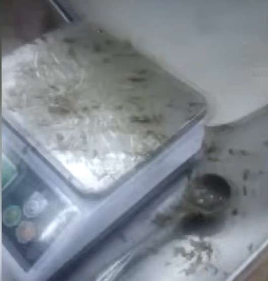 제보자 A씨가 찍은 한 두바이 쫀득 쿠키 공장 내부 [사진=JTBC '사건반장']