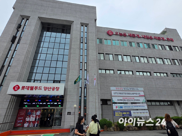 설레임과 설레임 쿨리쉬가 급동실로 옮겨지고 있다. [사진=롯데웰푸드]