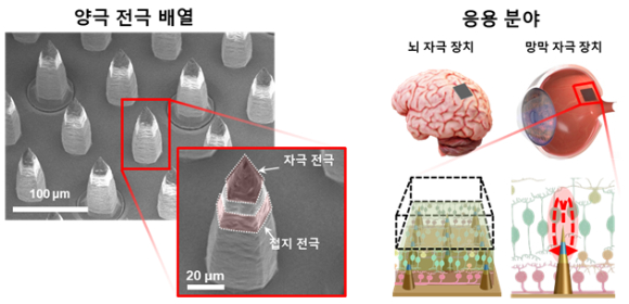 시각 장애인에 희소식…선명한 인공 망막 나온다 外 [과학게시판]