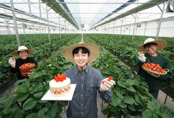 충청남도 논산시에 위치한 비타베리 재배 농가에서 청년농부 박태준씨가 비타베리를 활용한 파리바게뜨 케이크를 들고 있다. [사진=SPC]