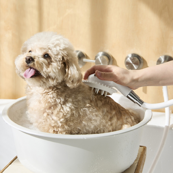 신세계까사의 라이프스타일 브랜드 자주는 반려동물 전용 생활용품 시리즈를 출시하며 펫 시장을 공략한다. [사진=신세계까사]