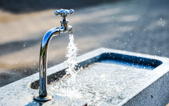 호주에서 '뇌 먹는 아메바'로 불리는 파울러자유아메바(Naegleria fowleri)가 검출됐다고 한다. 사진은 본 기사 내용과 무관. [사진=Seena Magowitz Foundation]