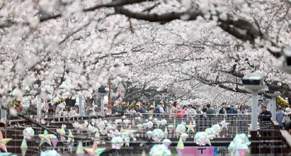국내 최대 봄꽃 축제인 '진해군항제' 개막일인 27일 오후 경남 창원시 진해구 여좌천 일대를 찾은 관광객이 벚꽃을 구경하며 봄기운을 만끽하고 있다. 2026.3.27 [사진=연합뉴스]