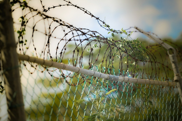 이미지는 기사와 무관 [사진=픽사베이]