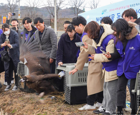 효성 임직원들이 2일 화포천습지생태박물관 일원에서 세계습지의날을 기념해 구조한 독수리 3마리를 자연으로 다시 돌려보내고 있다. [사진=효성]