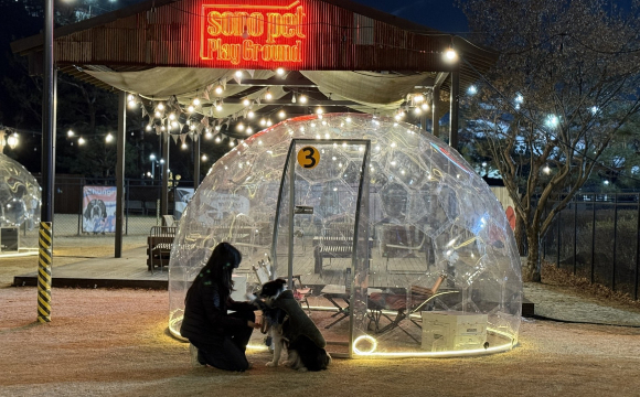 윈터 돔 빌리지. [사진=소노펫클럽앤리조트]