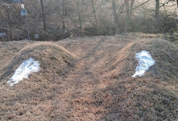 소금 뿌려진 묘지 [사진=연합뉴스/독자제공]